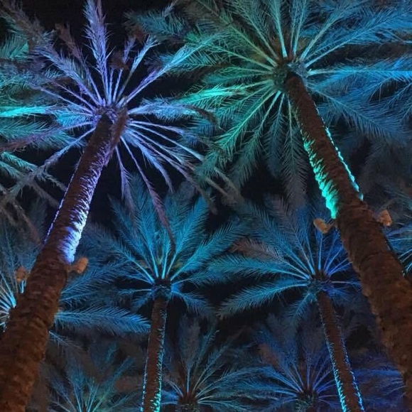 Meet your Posher, Lisette - Picture 1 of 1